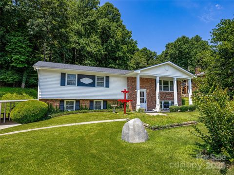 Photo of 1482 Island Ford Road, Brevard, NC 28712 (MLS # 4242652)