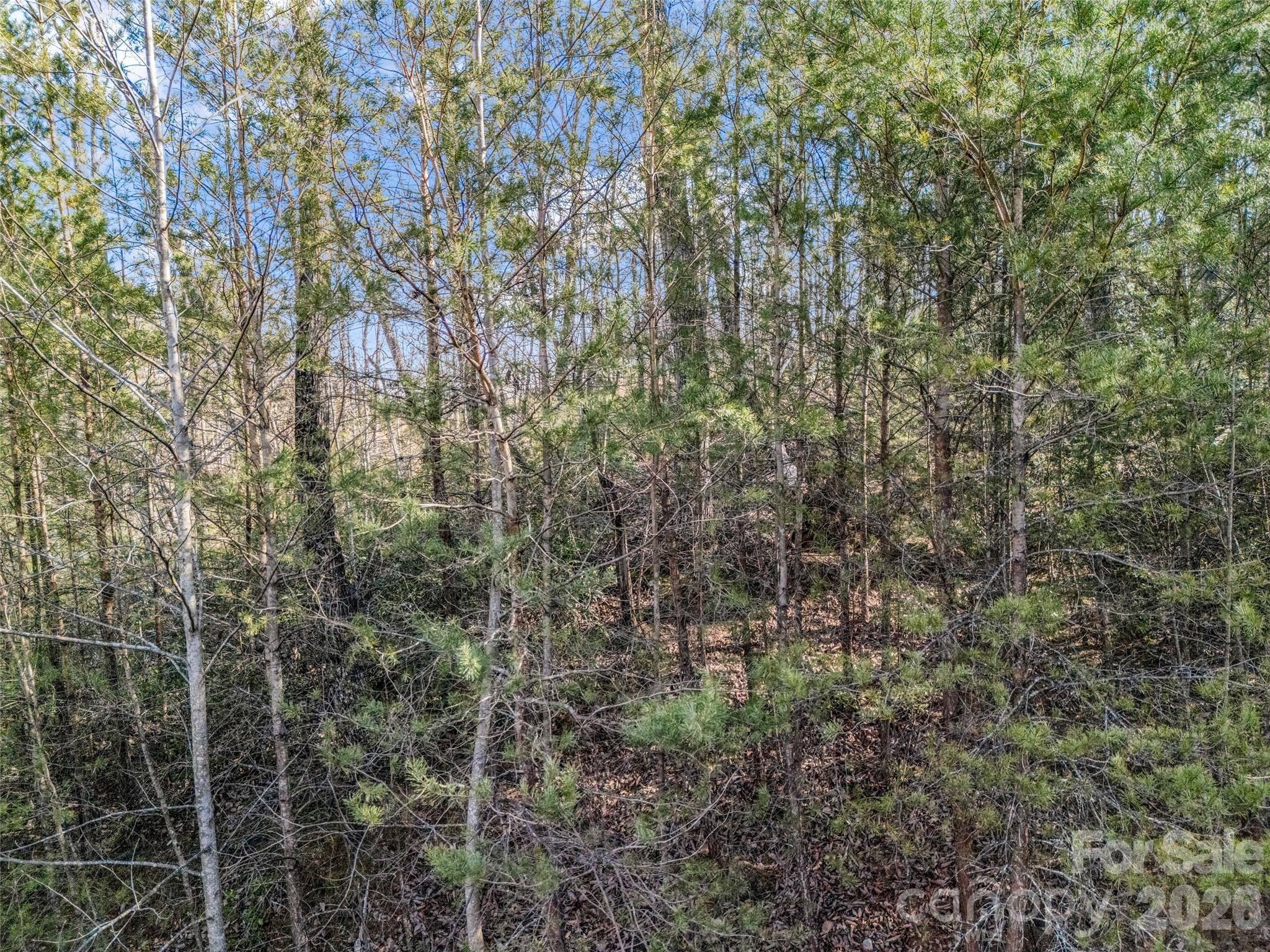 Brights Creek - Land