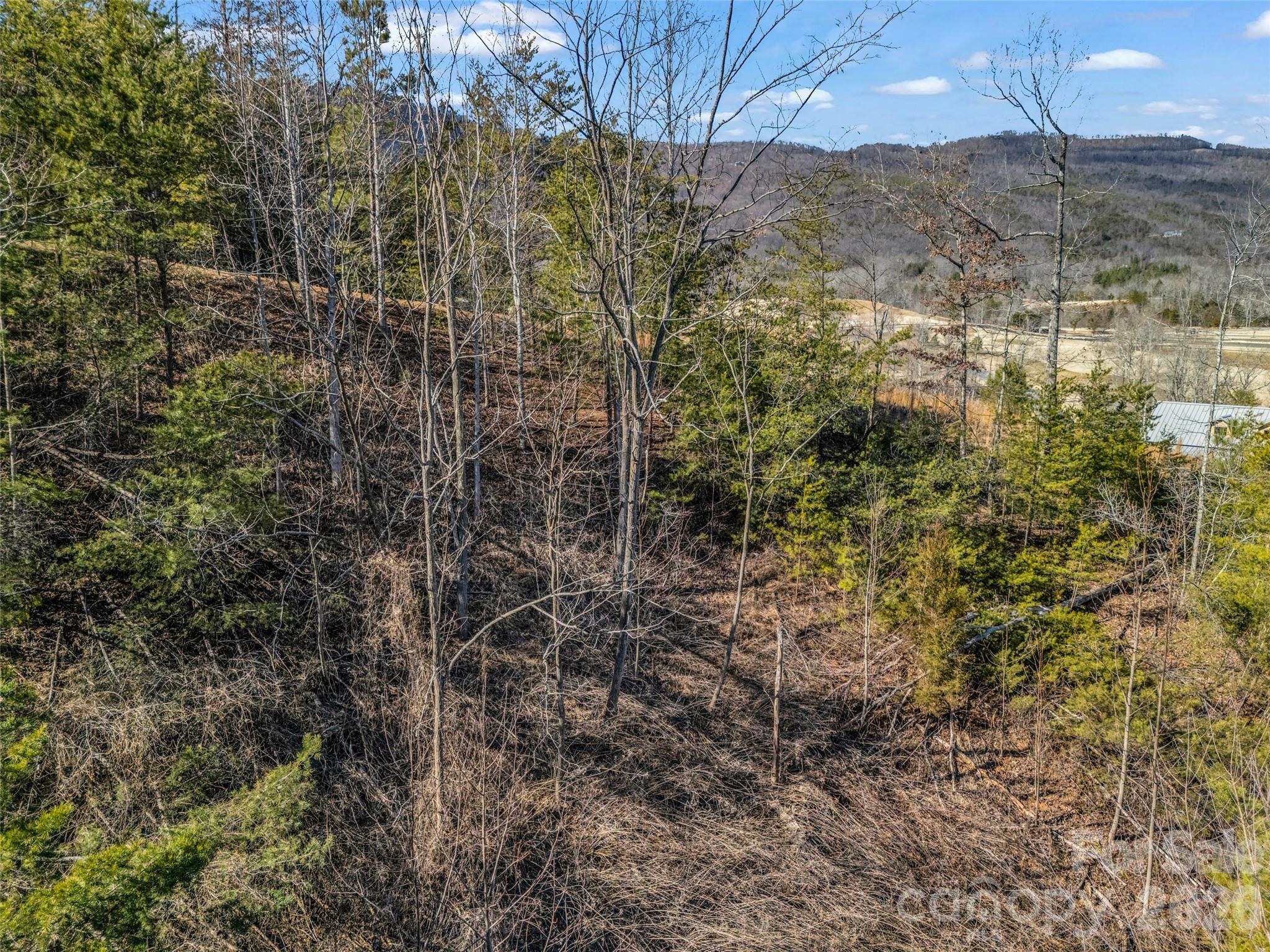 Brights Creek - Land