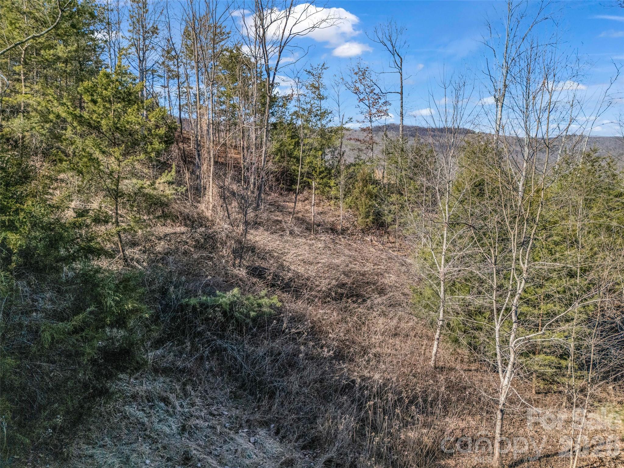 Brights Creek - Land