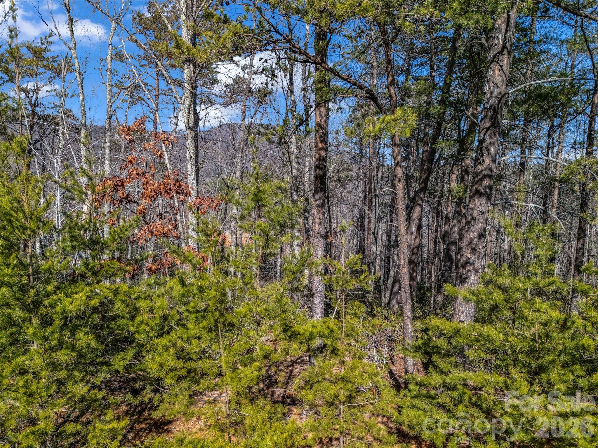 Brights Creek - Land