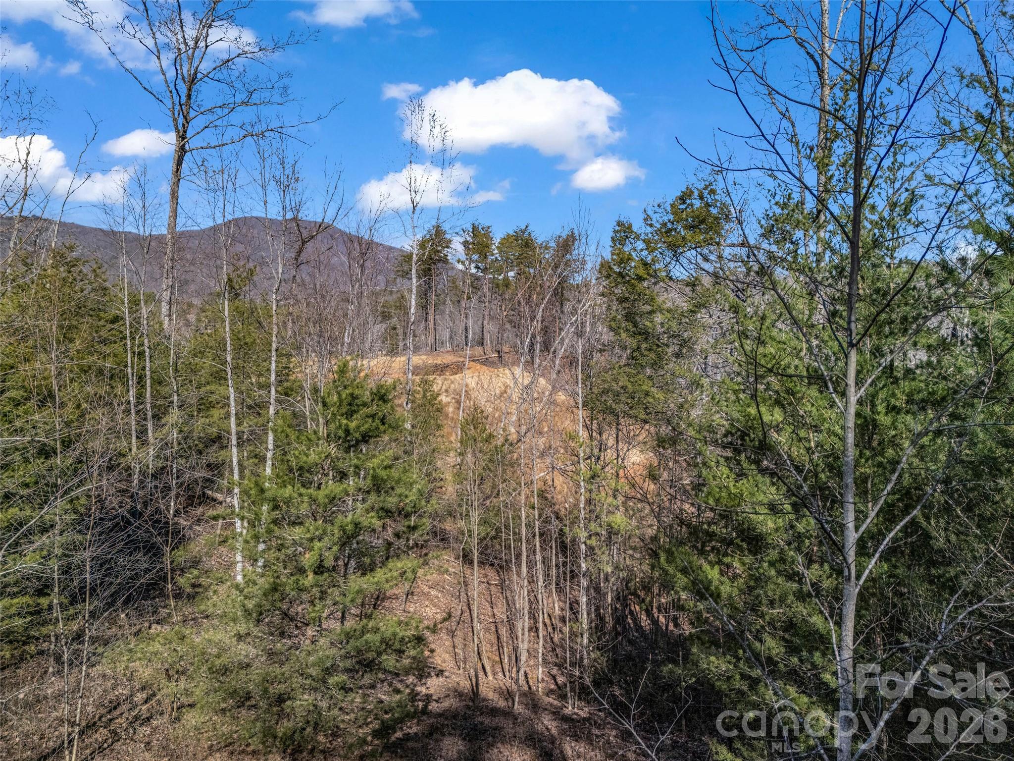 Brights Creek - Land