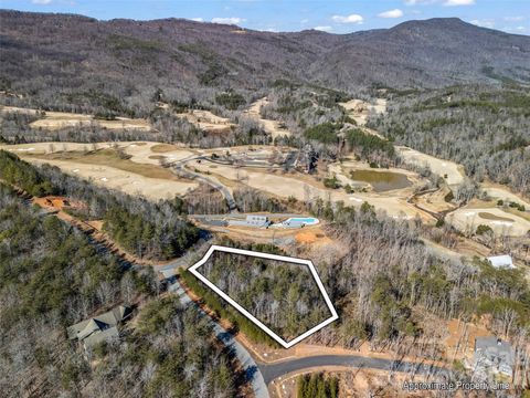 2002 Deep Gap Farm Road E Mill Spring NC 28756