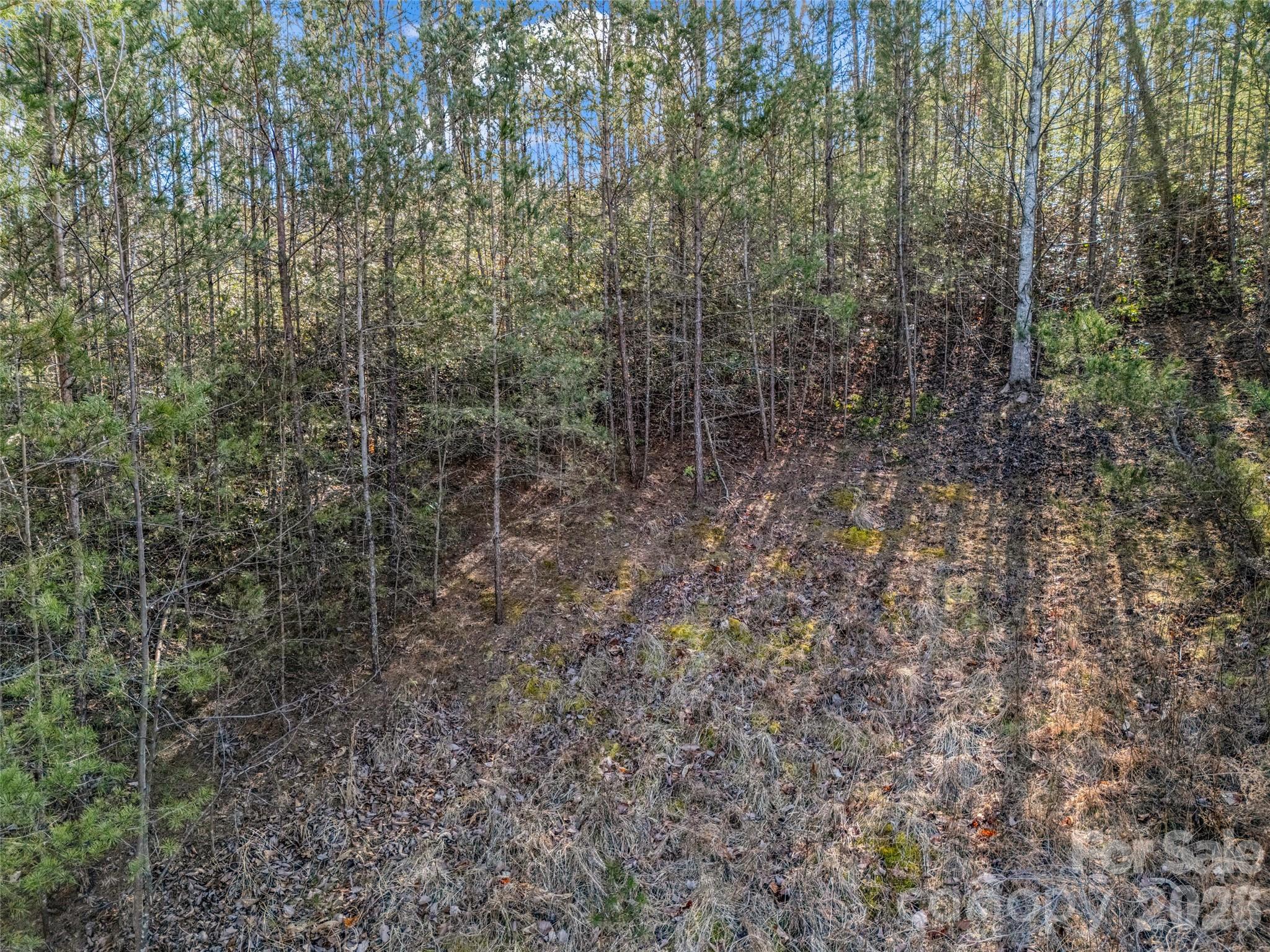 Brights Creek - Land