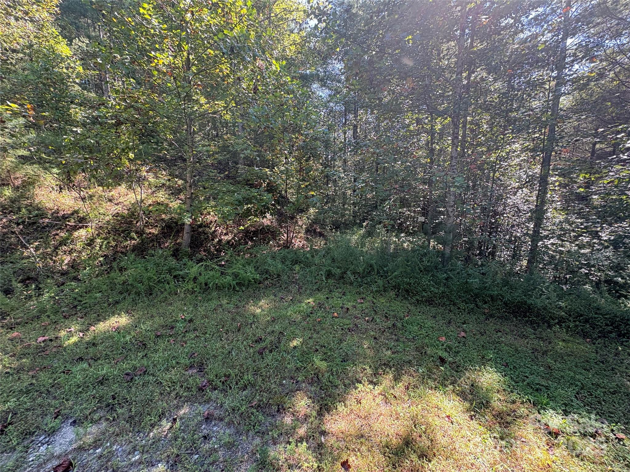 000 National Forest Drive