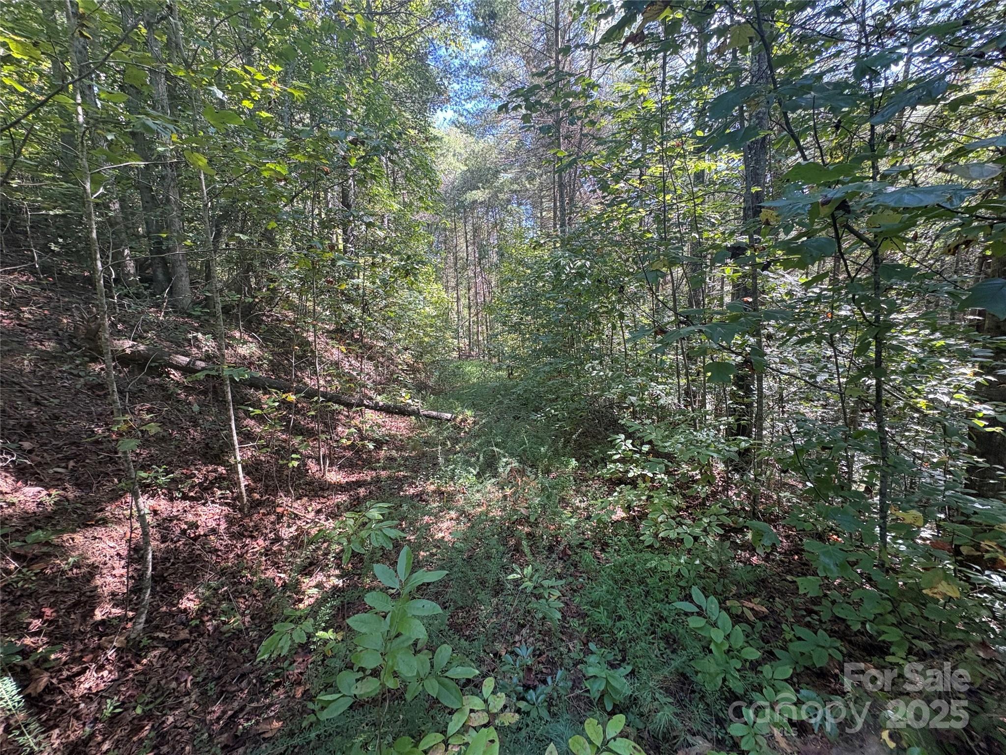 The Bluffs of Wilson Creek - Land