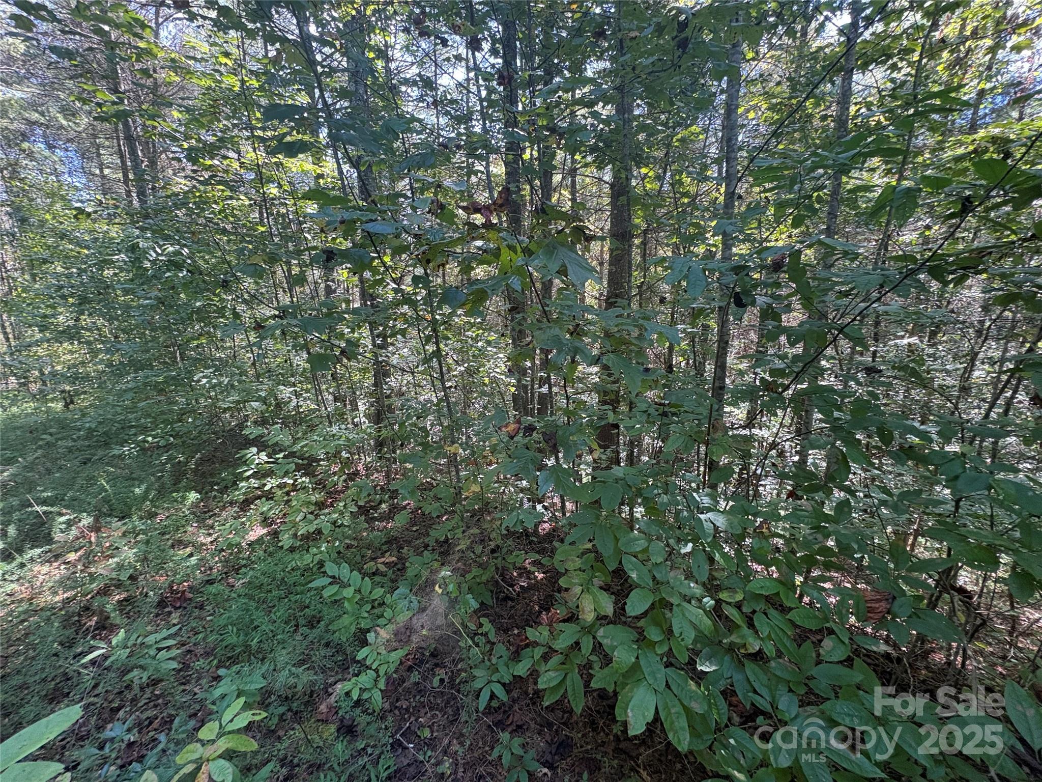 The Bluffs of Wilson Creek - Land