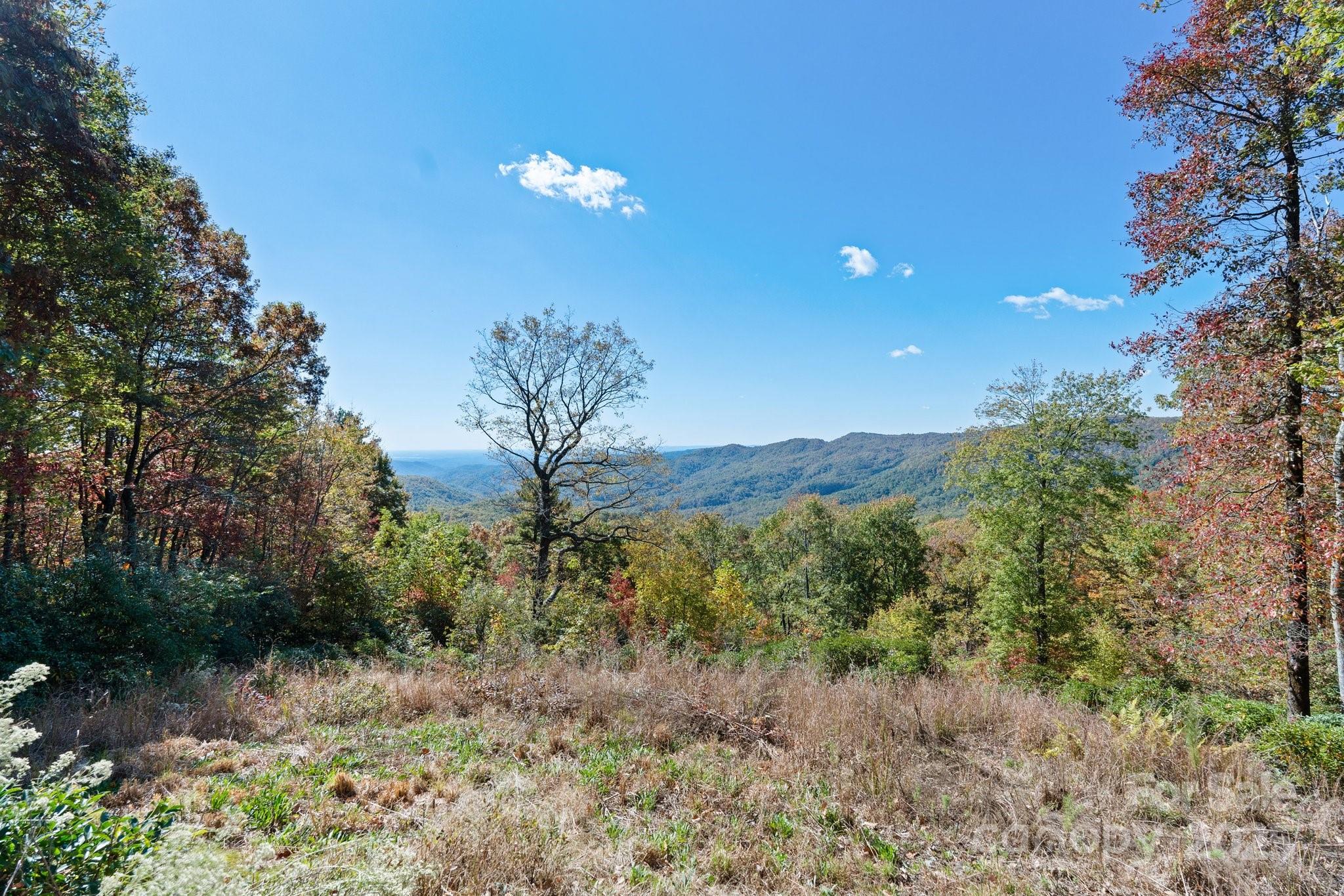 TBD Sassafras Ridge 36
