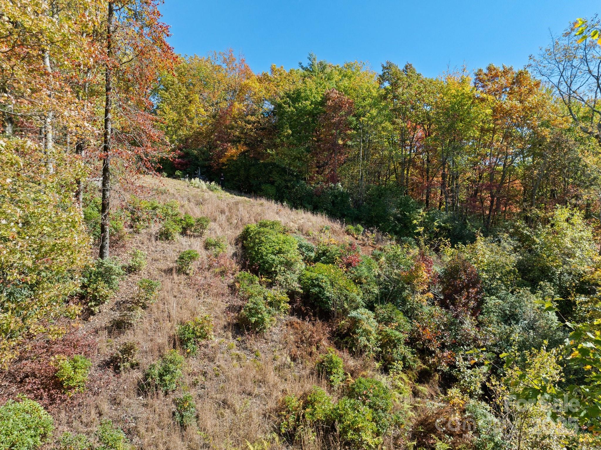 TBD Sassafras Ridge 36