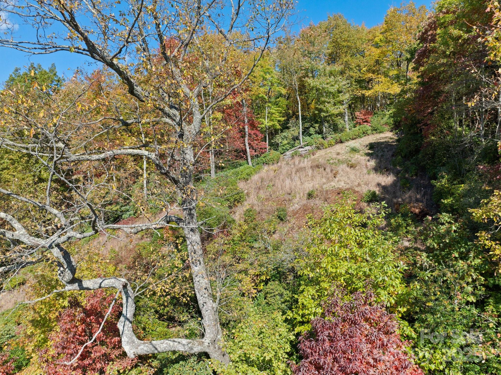 TBD Sassafras Ridge 36