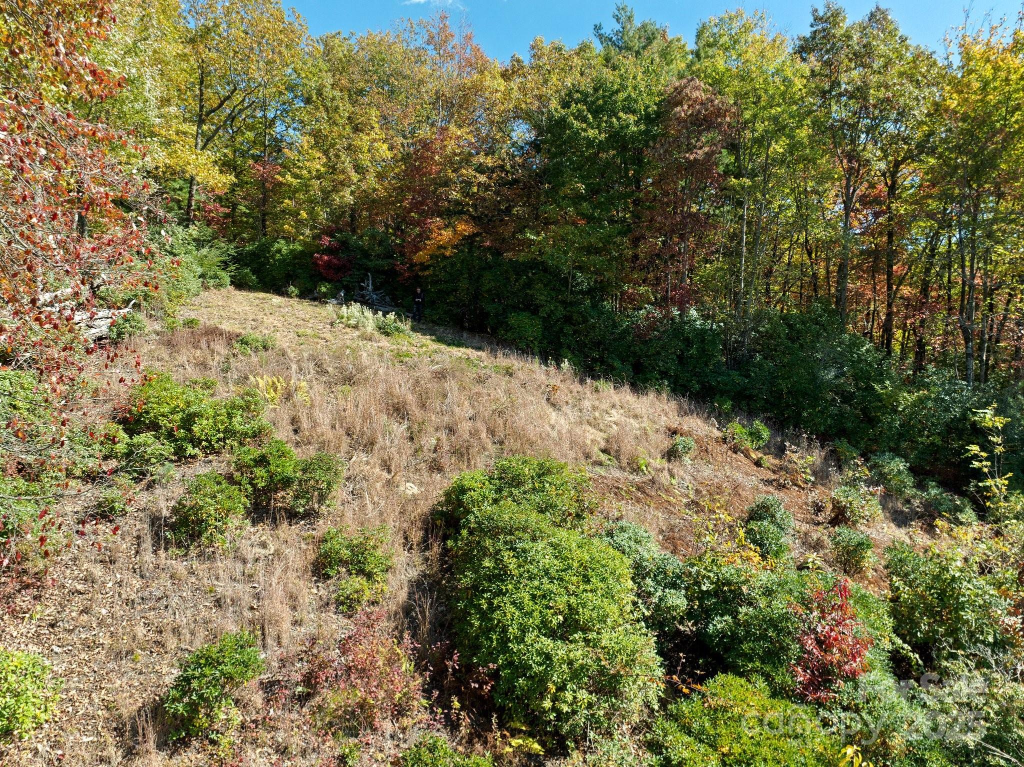 TBD Sassafras Ridge 36