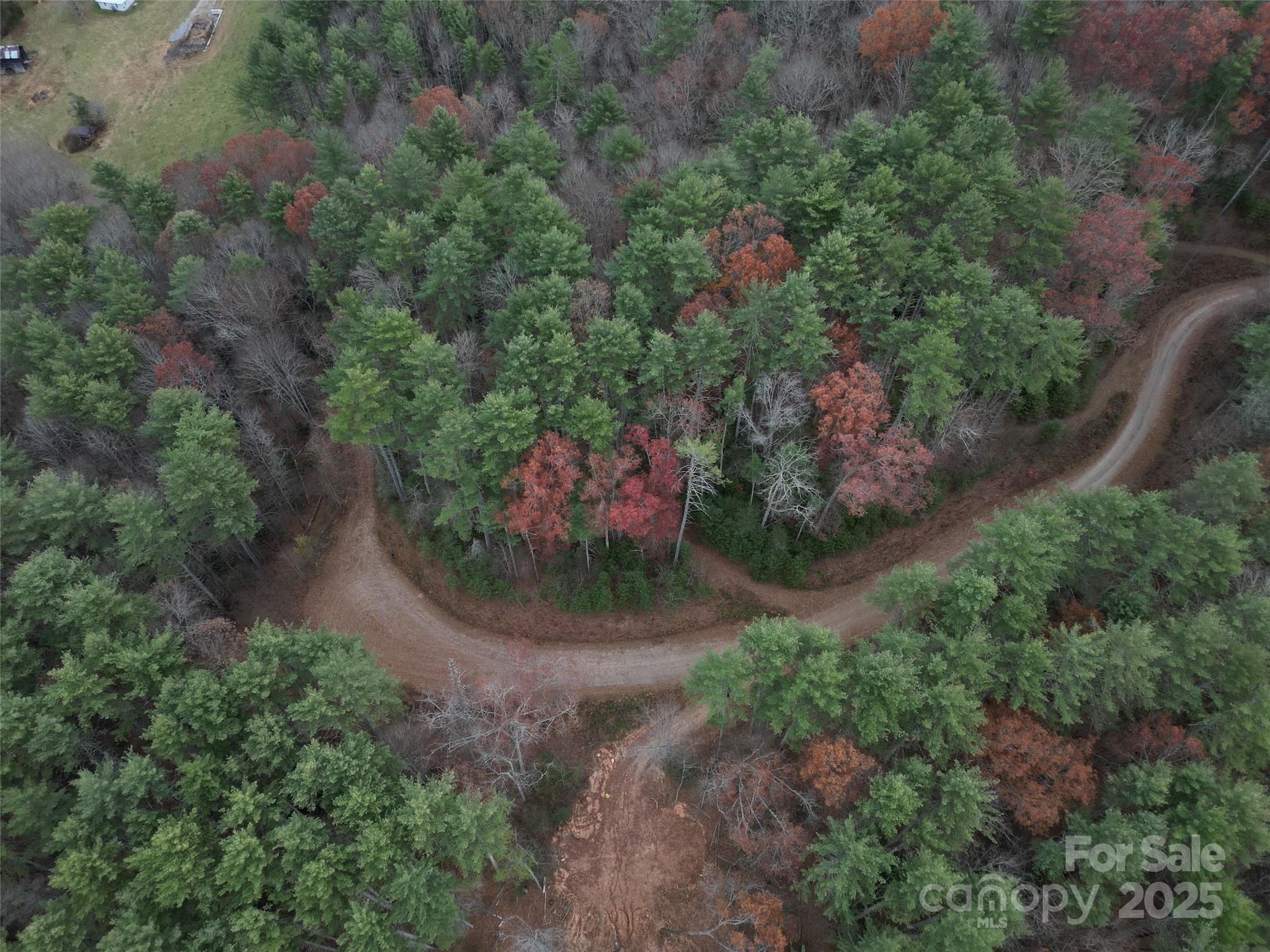 13 Wildlife Drive 13