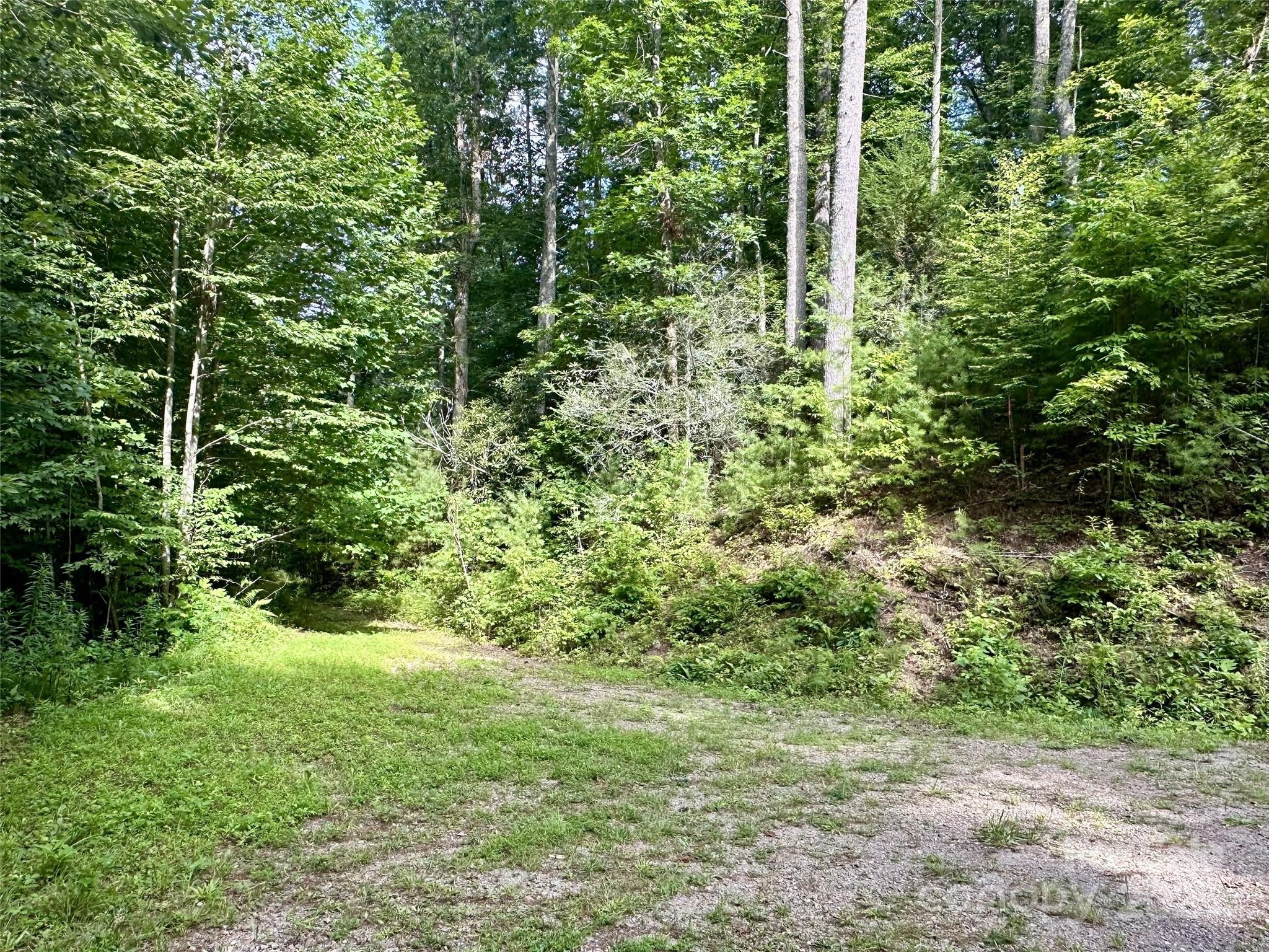 13 Wildlife Drive 13