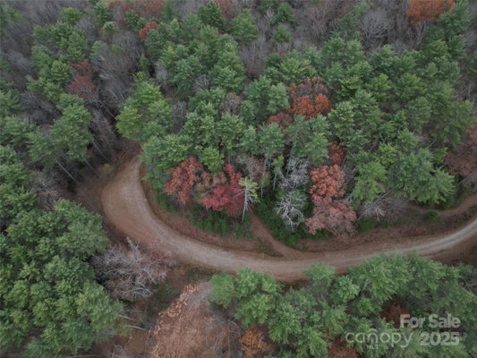 13 WILDLIFE DR # 13, CLYDE, NC 28721 - Image 1dbd53384d55de363d9efeb7a24fbac2/4007198706