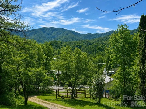 Photo of 38 Buchanan Hill Road, Bakersville, NC 28705 (MLS # 4237916)