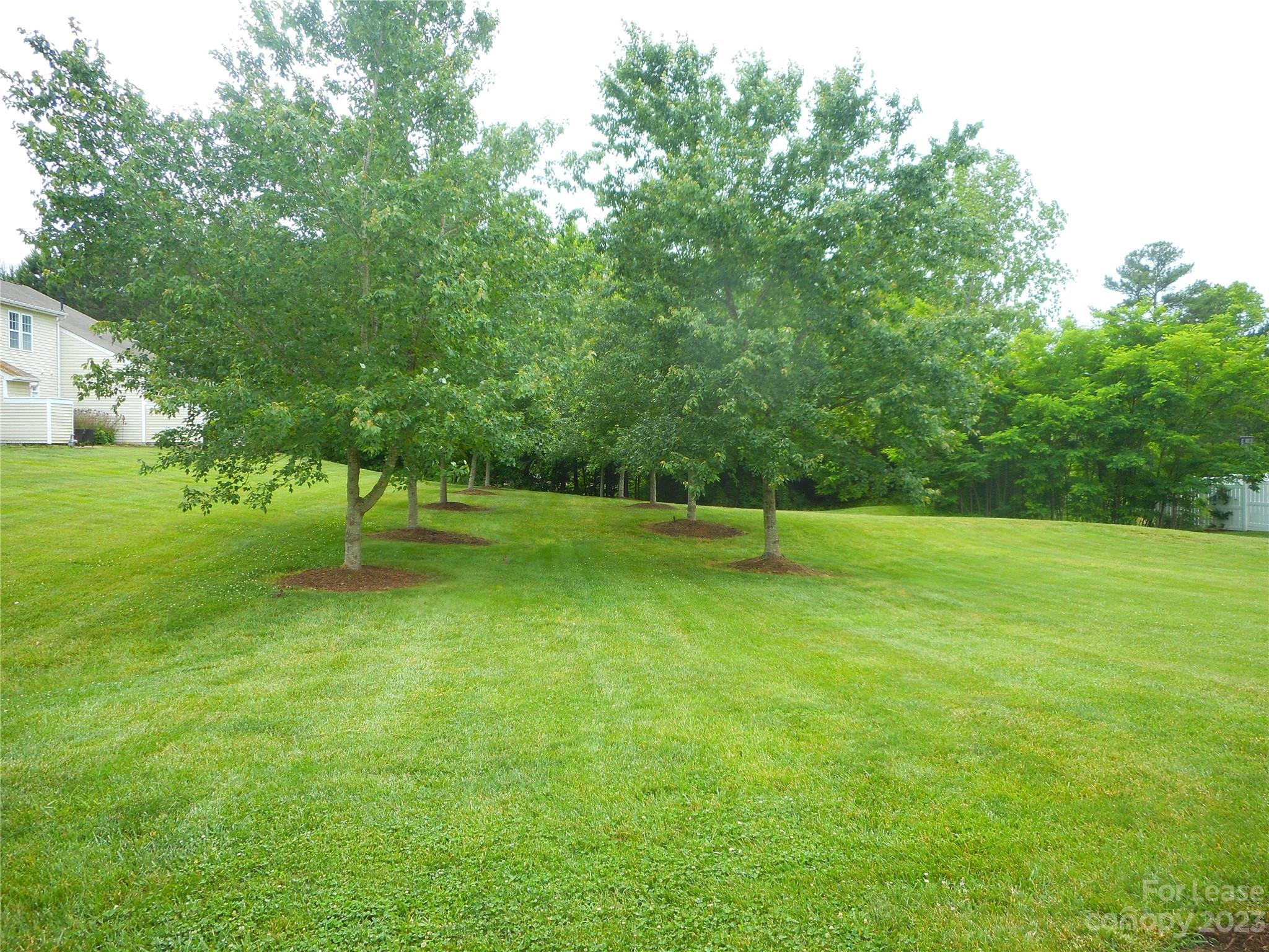 Arlington - Residential Lease