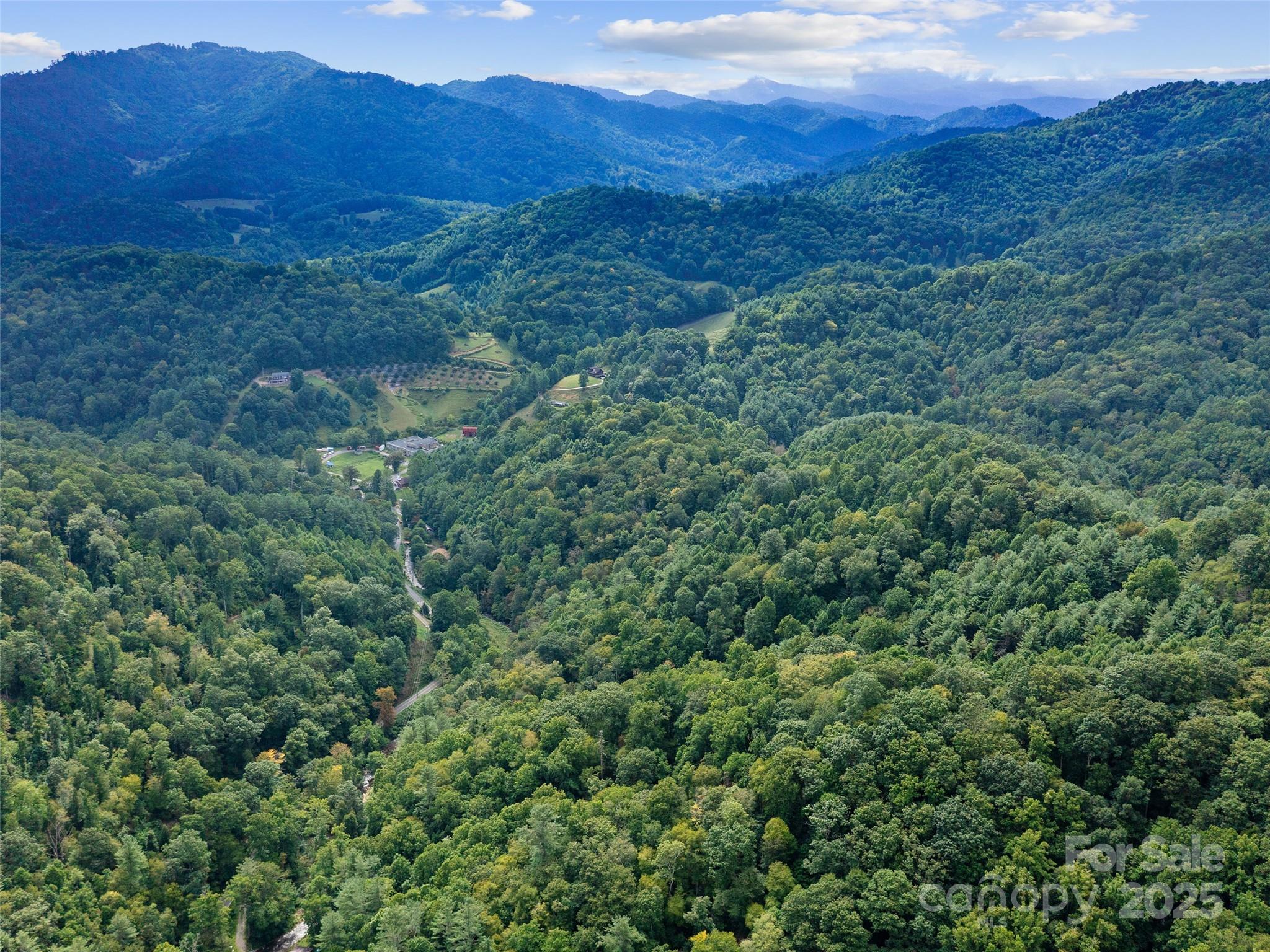 1393 Bald Mountain Road