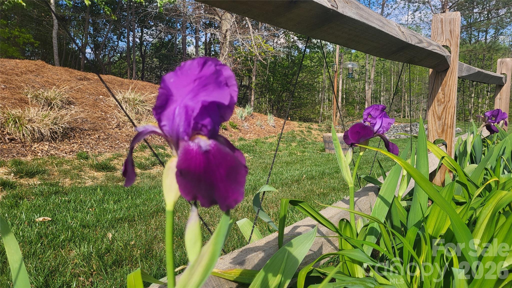 Cline Village - Residential