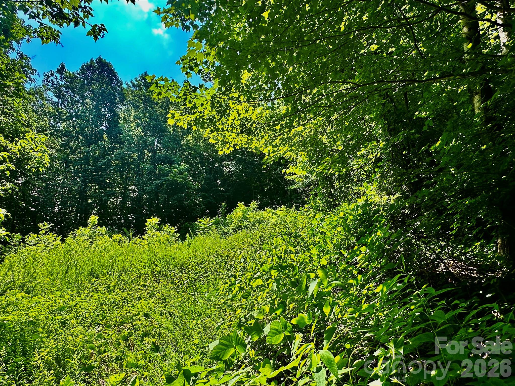 75 Fork Creek Road