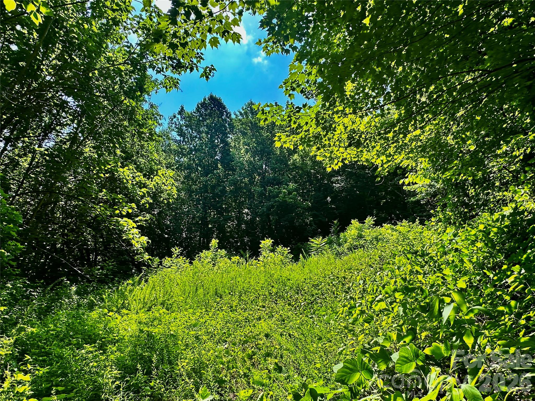75 Fork Creek Road, Saluda, NC, 28773