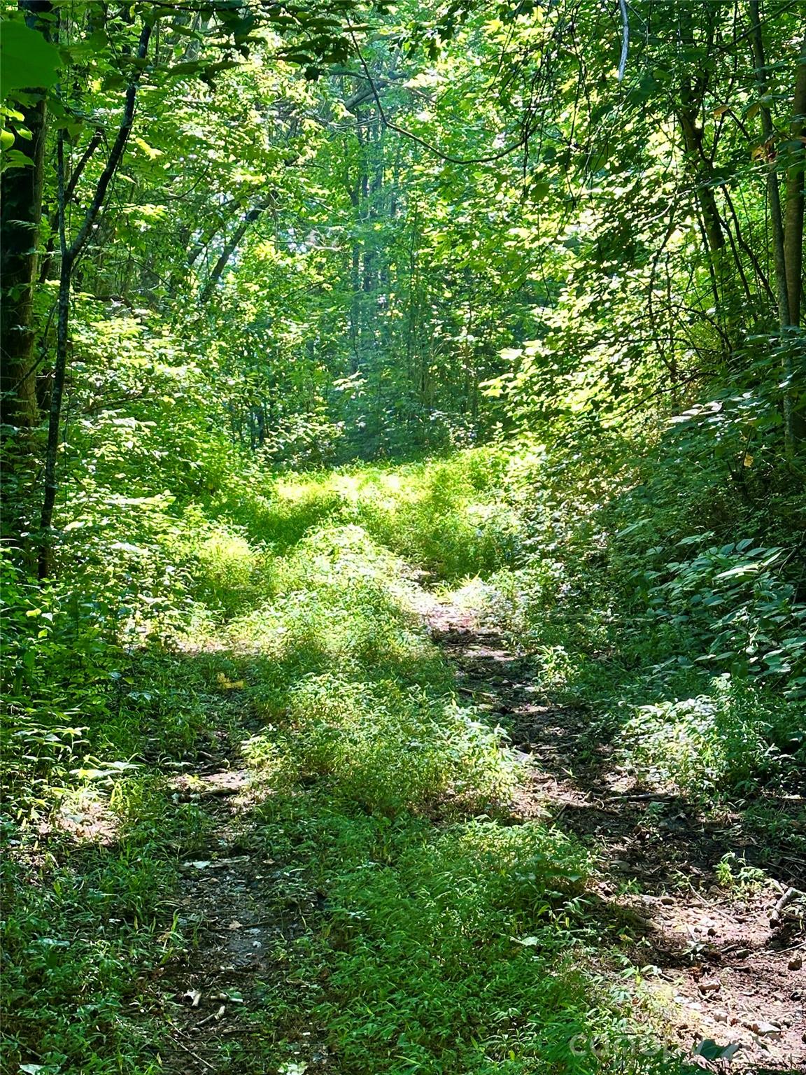 75 Fork Creek Road