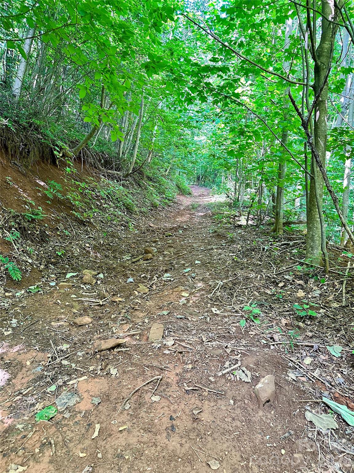 75 Fork Creek Road