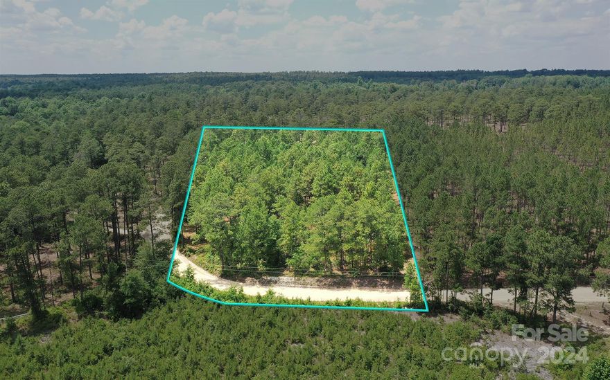 Just listed this nice 2 +/- acre wooded lot in the heart of Patrick SC. If you are looking for something in the country to build your new home or a place your mobile or modular home on this could be it. Septic and well needed. Call for any details.