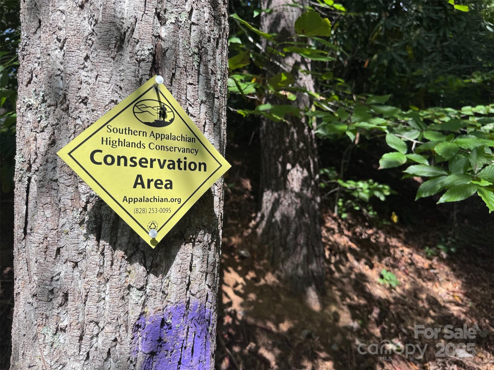 508 Old Bee Tree Road