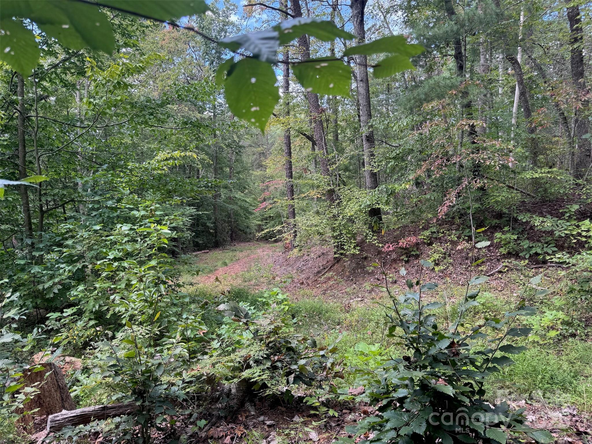 508 Old Bee Tree Road