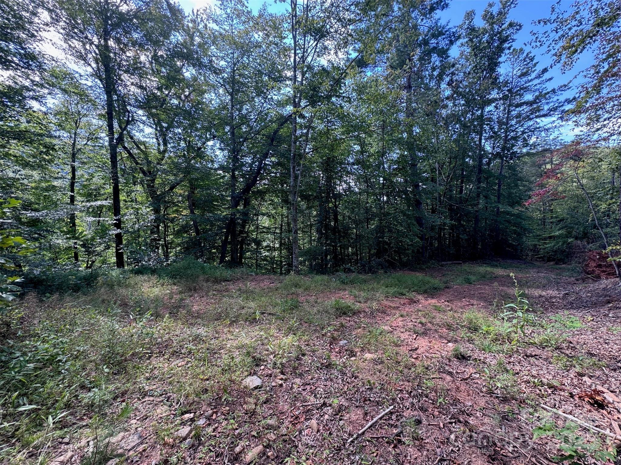 508 Old Bee Tree Road