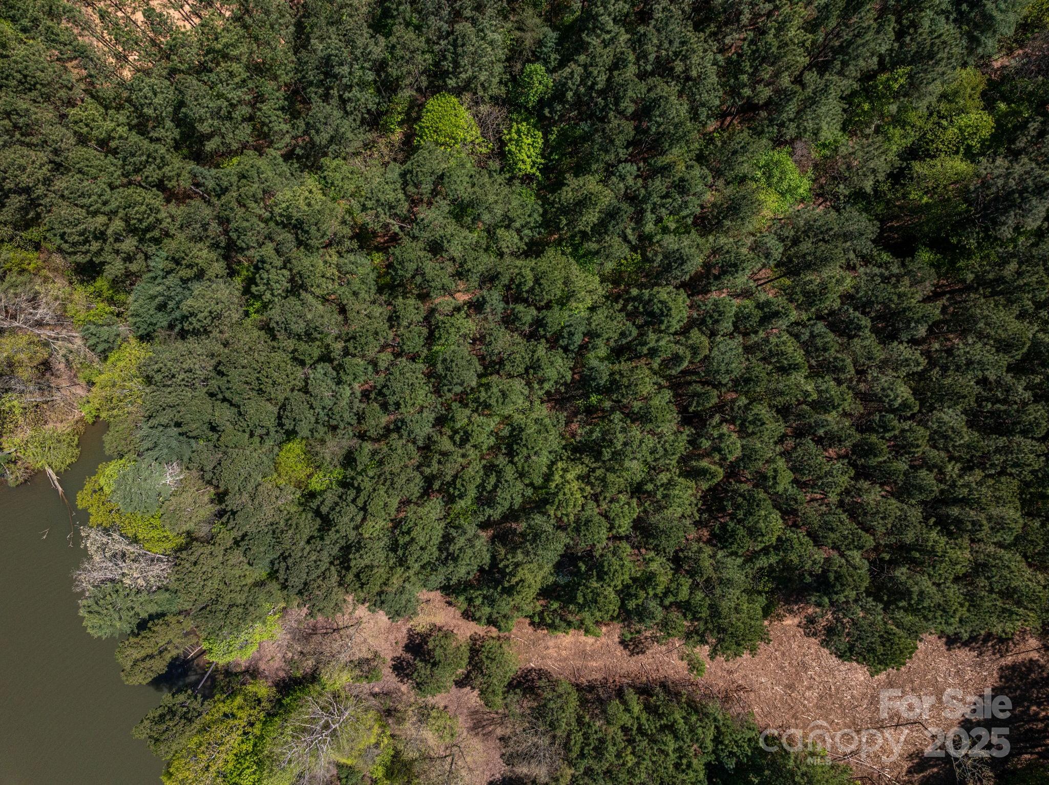 Paradise Harbor - Land