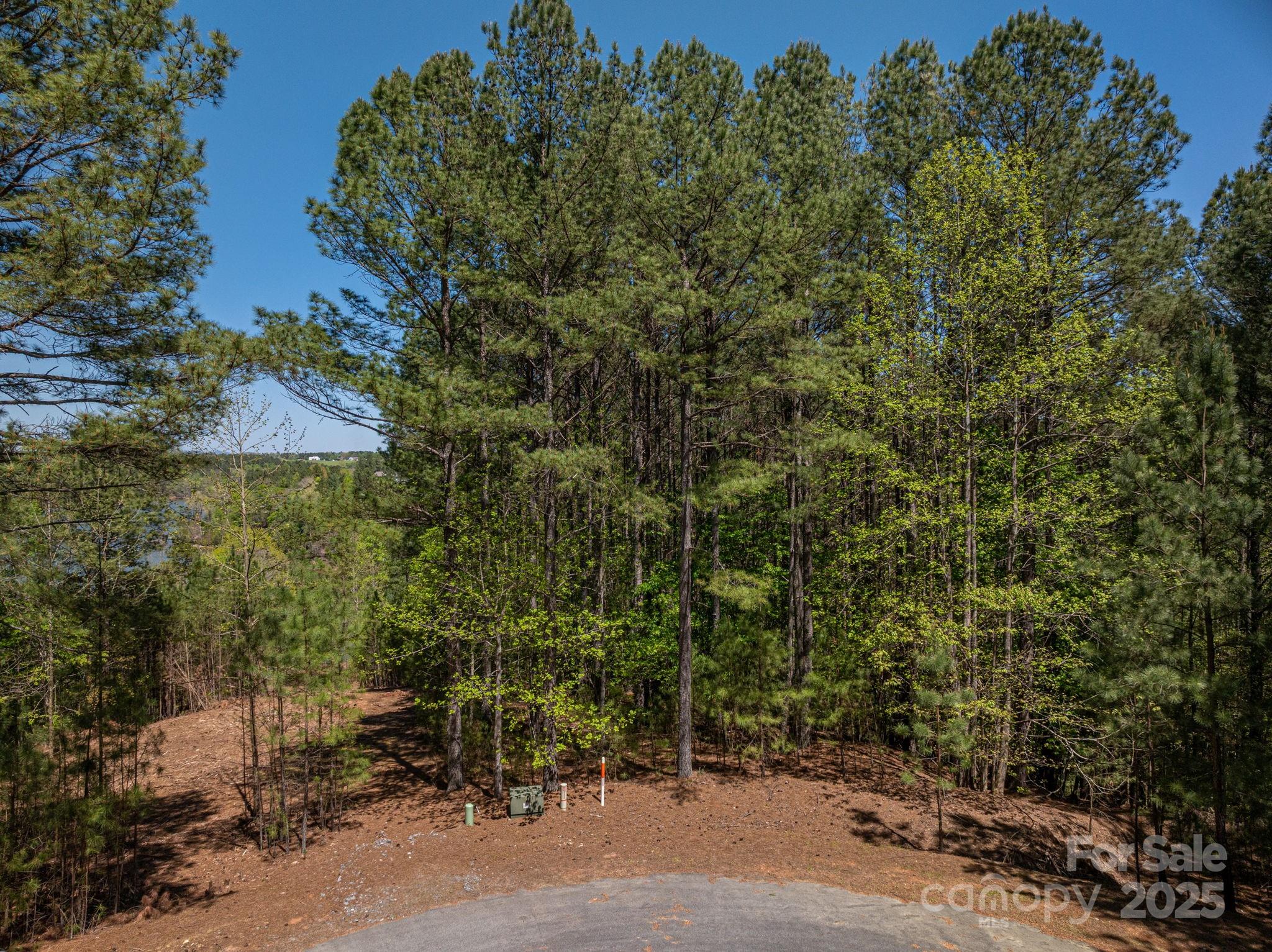 Paradise Harbor - Land
