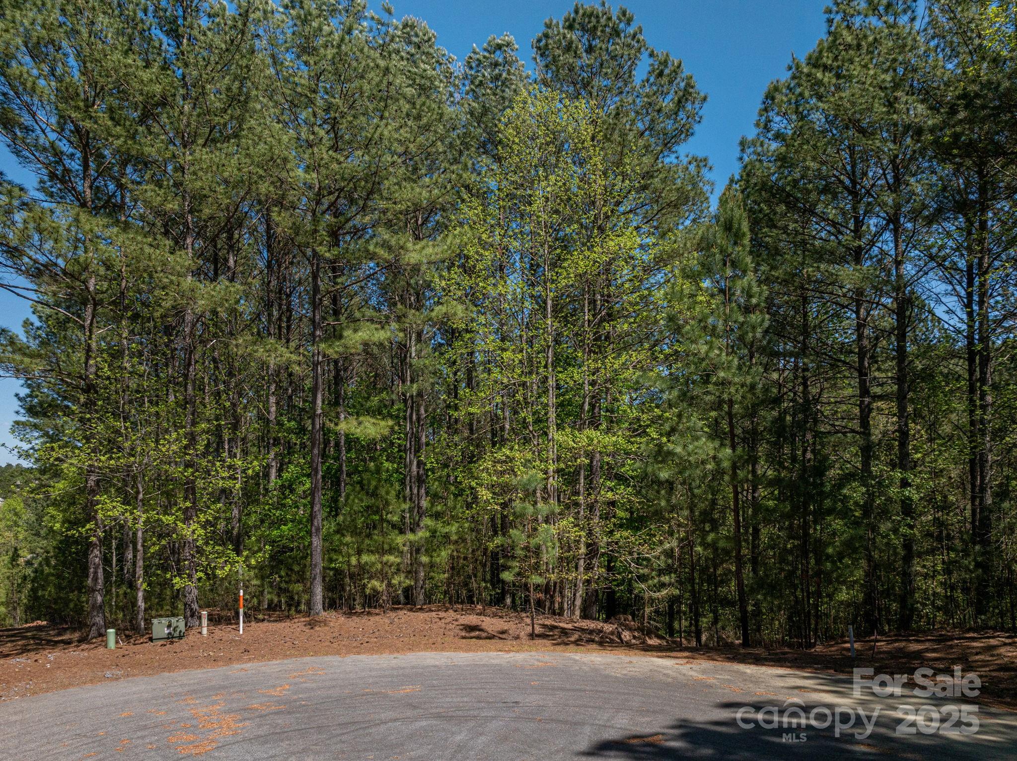 Paradise Harbor - Land