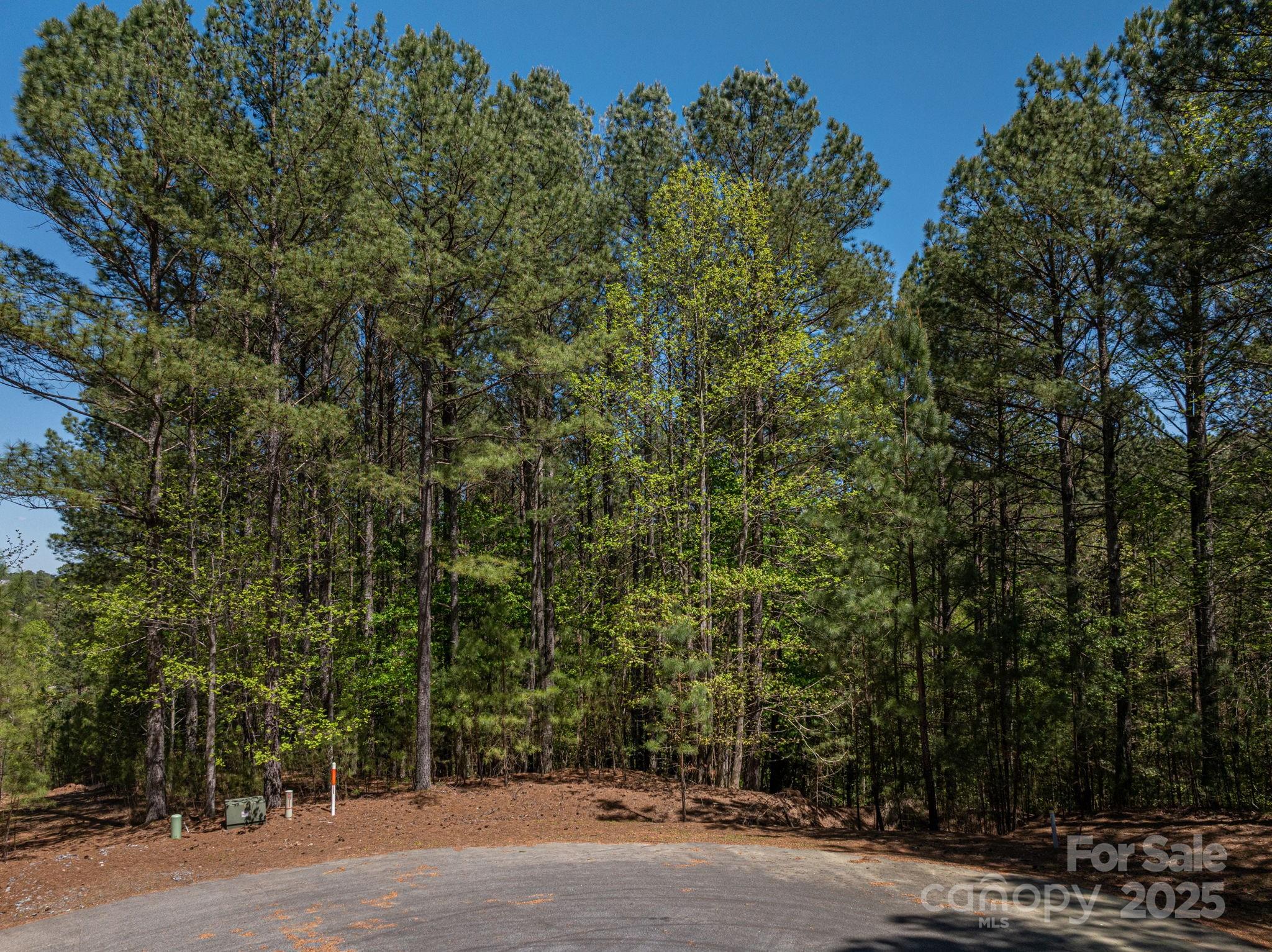 Paradise Harbor - Land