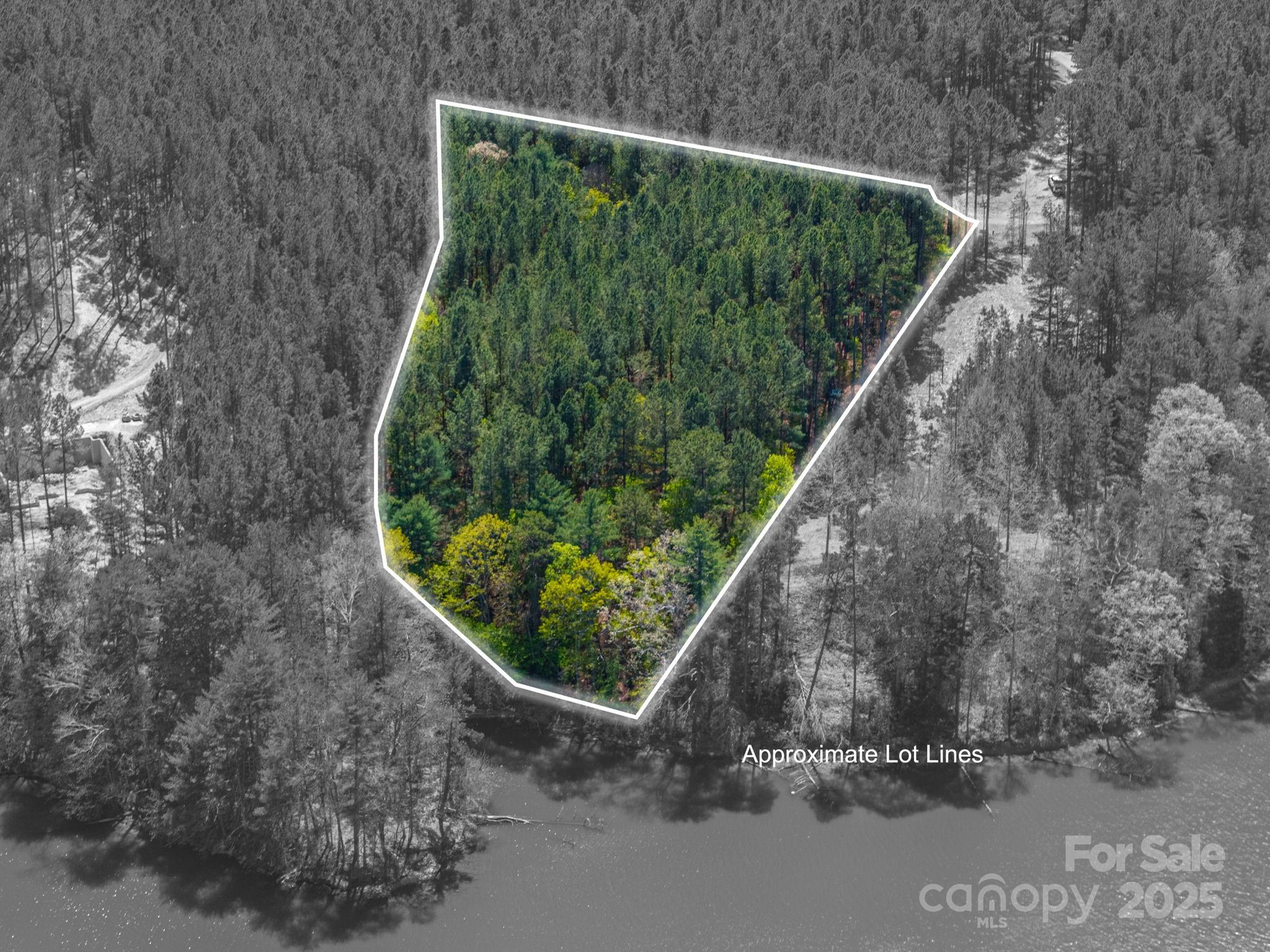 Paradise Harbor - Land