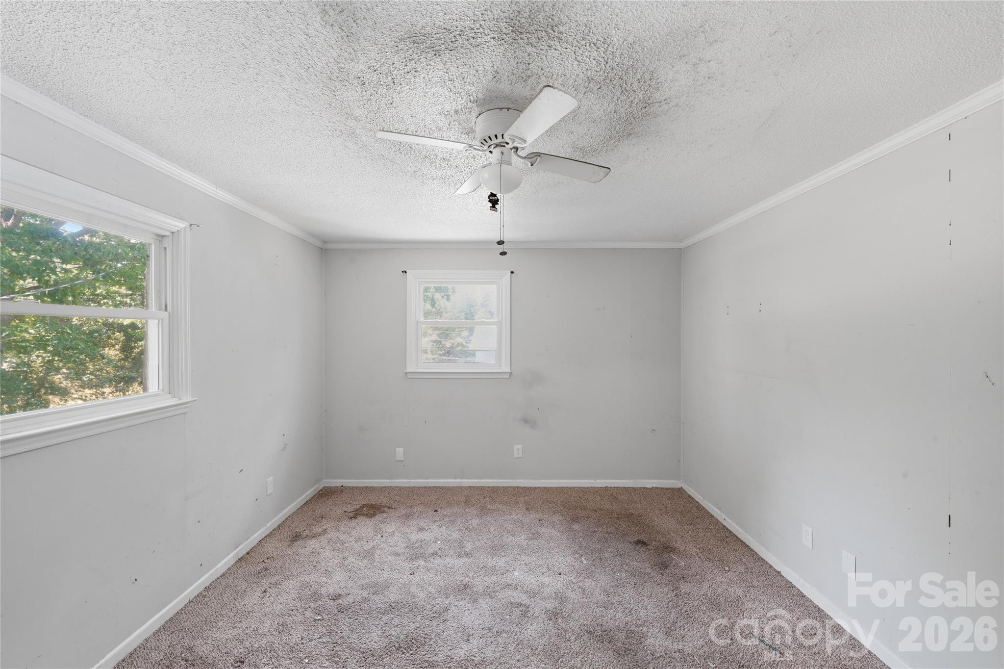151 Redwood Lane