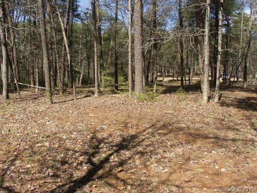 Single pier home site. Spectacular east side vistas of Badin Lake and the Uwharrie National Forest. Almost perfectly flat building site allowing for gentle and easy access to the lake. A cozy private location with street access from the end of a cul-de-sac.
