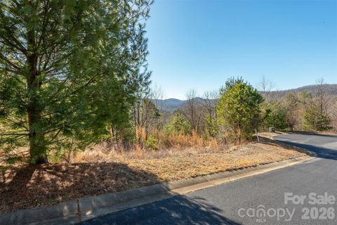 99999 Woodhen Way 138 & 139 Horse Shoe NC 28742