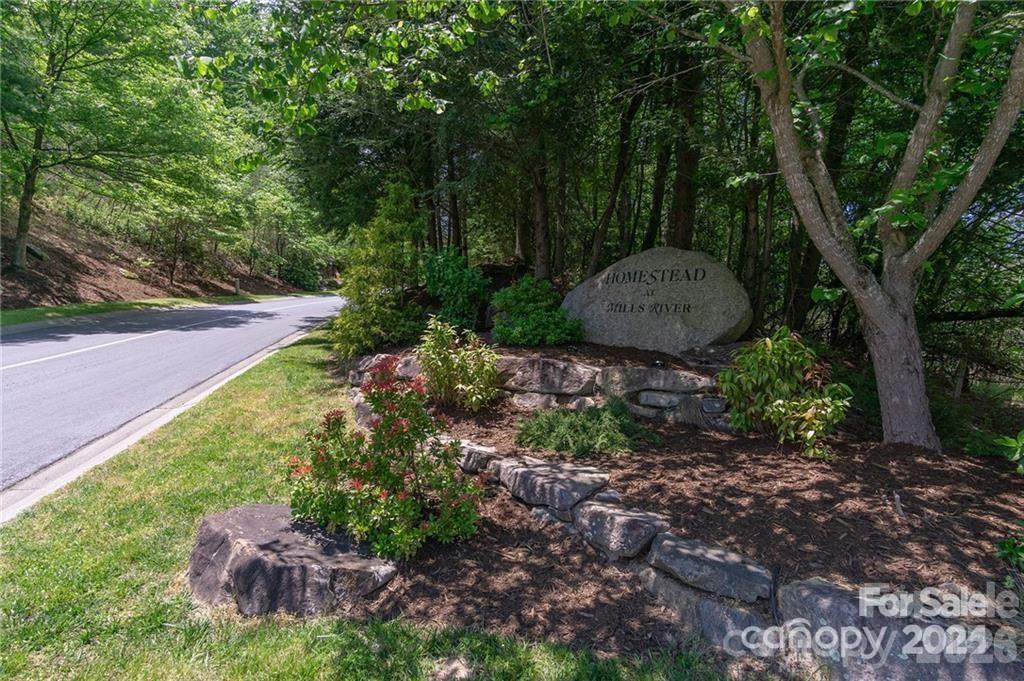 Homestead at Mills River - Land