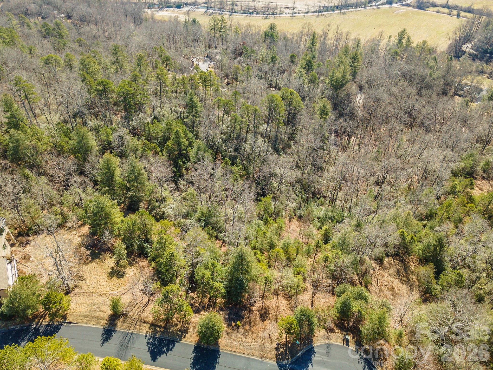 Homestead at Mills River - Land