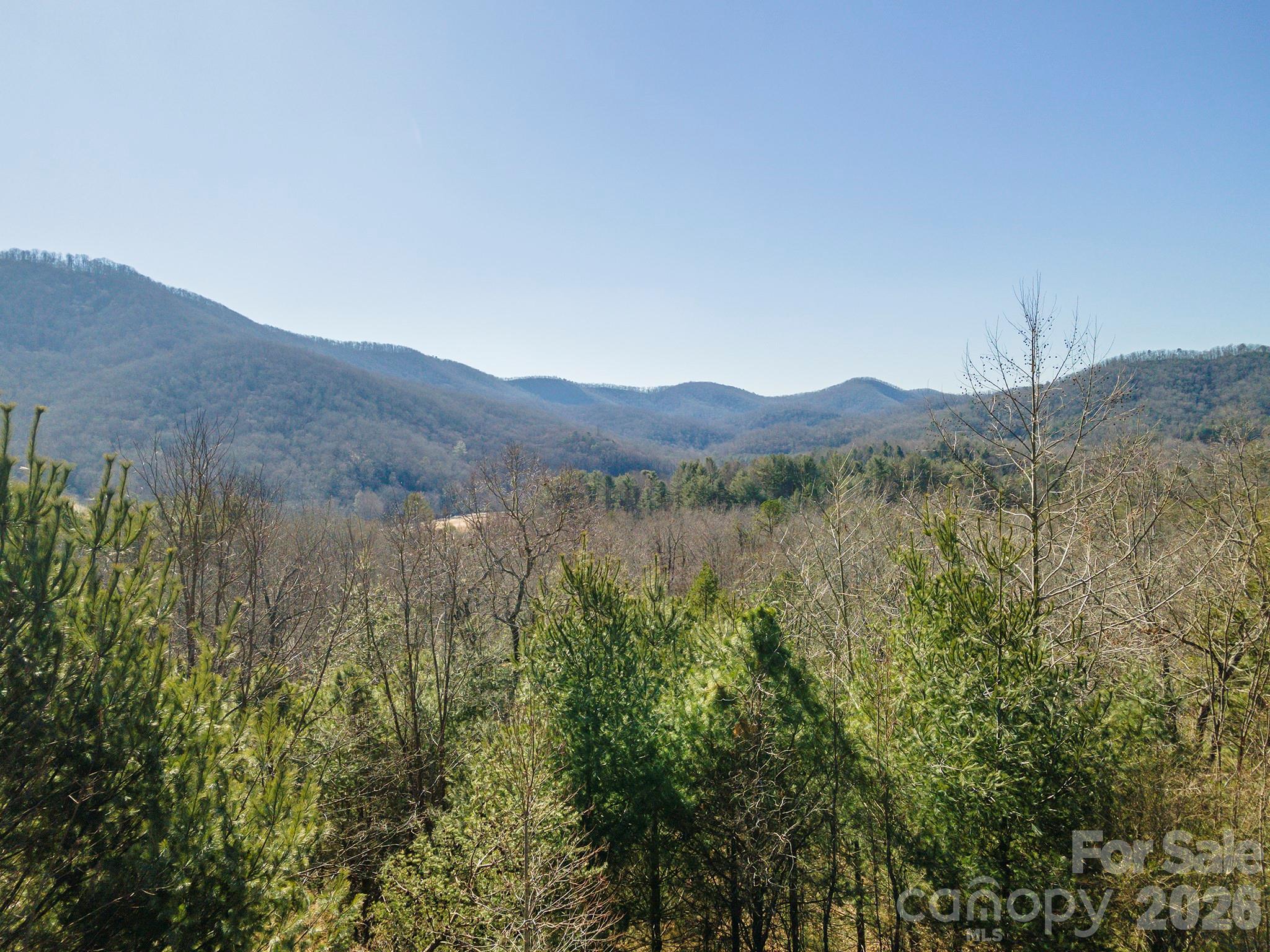 Homestead at Mills River - Land