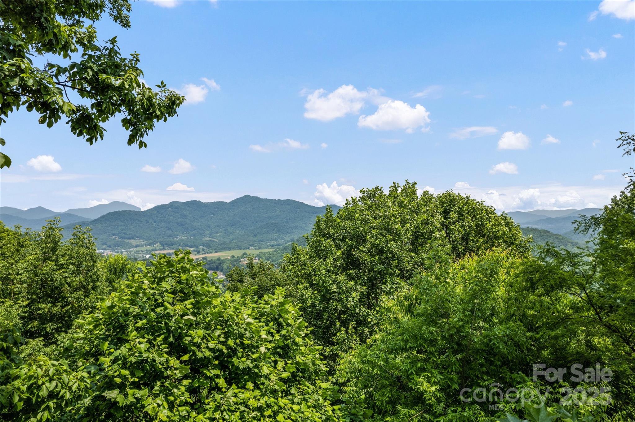 102 Coyote Ridge None