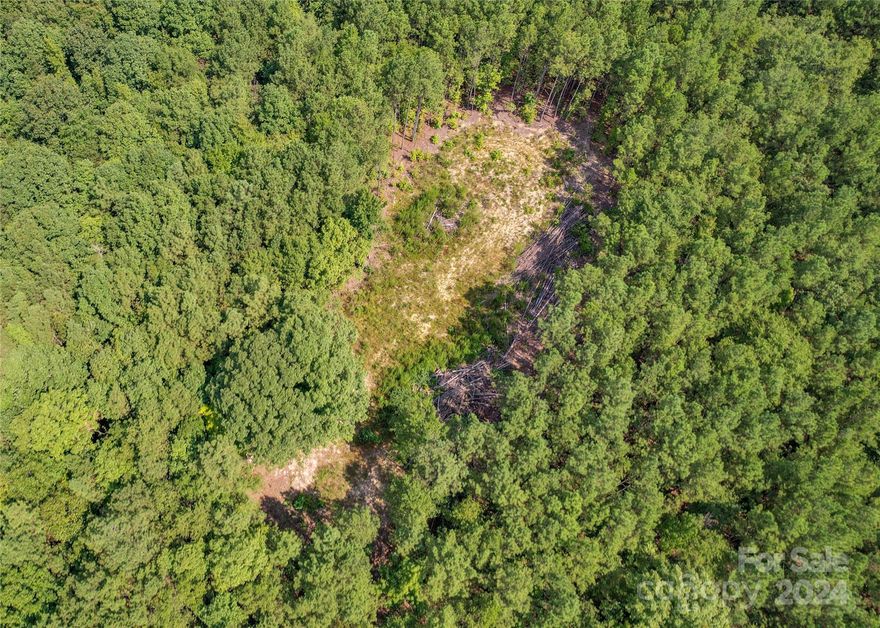 Beautiful acreage in the country with plenty of room to explore, hunt, pan for gold, homestead, or build your dream house. Wildlife isn't lacking as plenty deer, turkey, red headed woodpeckers, bobcats, beavers, foxes, hawks, bald eagles and coyotes have been spotted. Land has been partially cleared for a homesite with septic permit issued in 2019 for a 4 bedroom house. A creek divides the back end of the property from SC Wildlife Management land and this property also borders a possible future agri-tourism site. Do not walk land without prior approval!