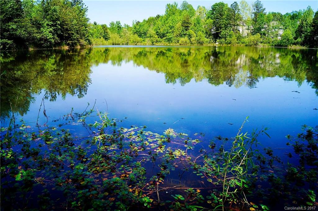Mill Creek Falls - Residential
