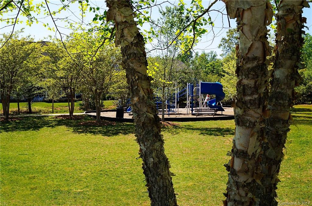 Mill Creek Falls - Residential