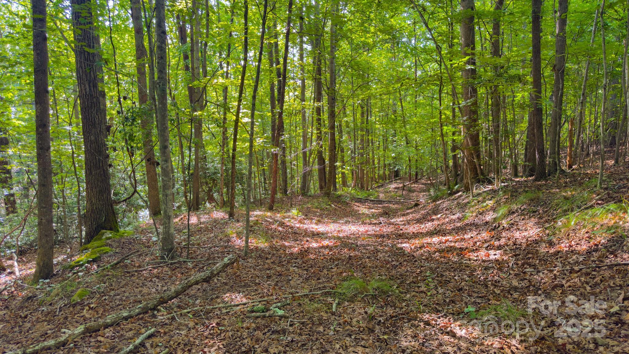TBD Dirksen Avenue 62
