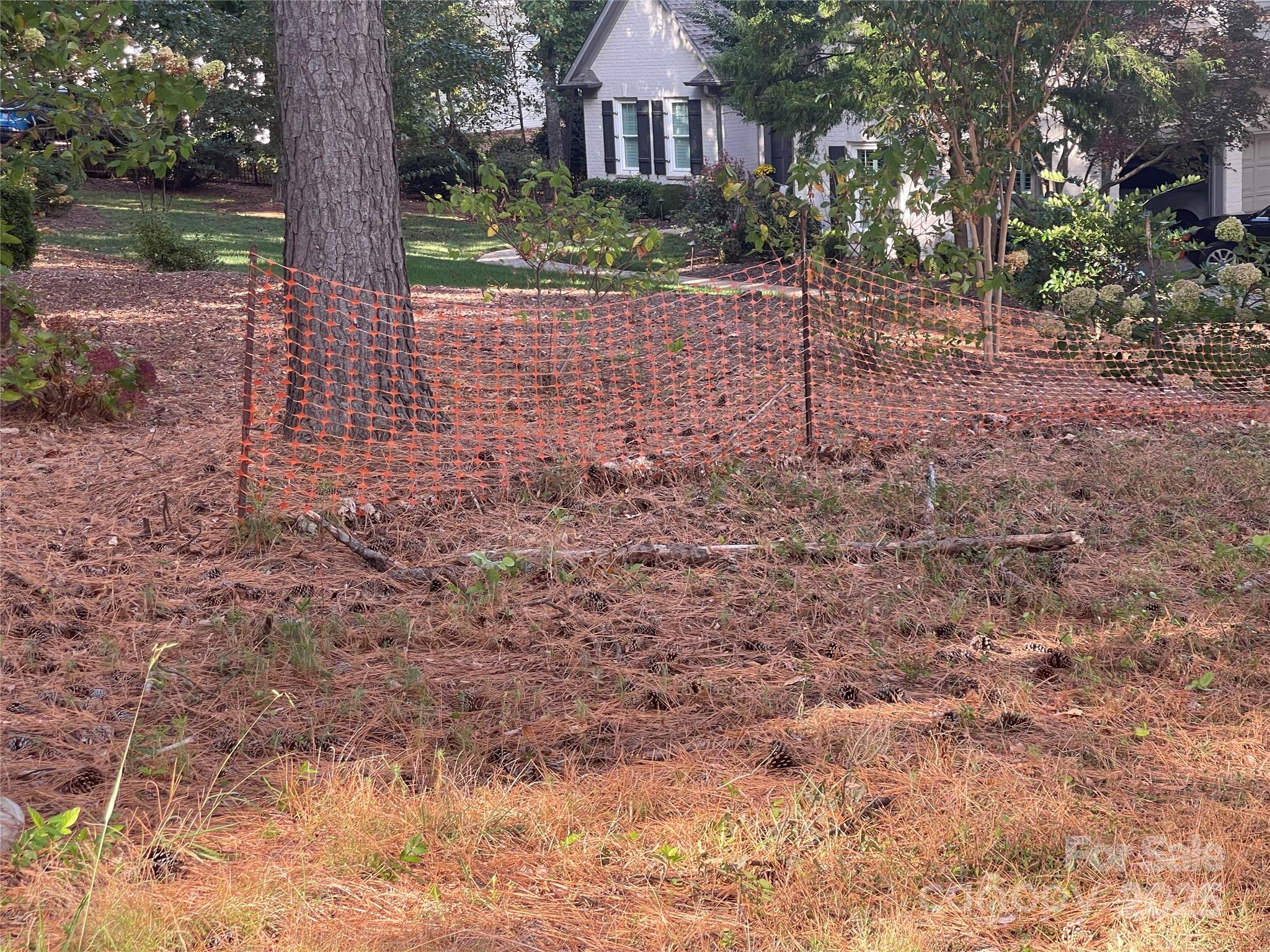 Mountain View Beach - Land
