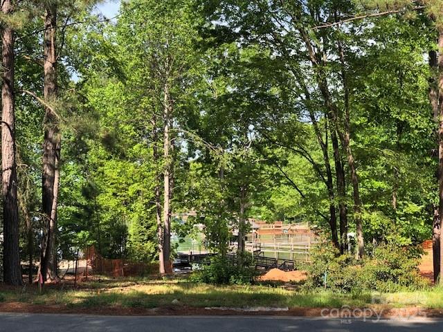 Mountain View Beach - Land