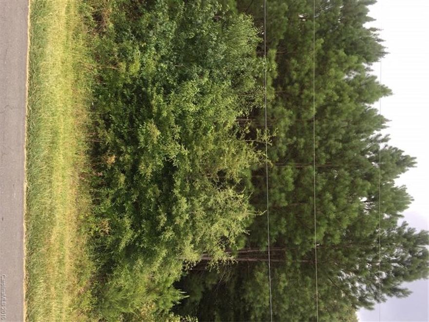 Great Lot well within major road access.  Seller owns Listing next to this one and is willing to sell as a Package Deal.  The other Lot is the same size and dimensions which would provide a large Lot if you are looking to build a large House.  Great site for an Investor to buy two lots in a great location.