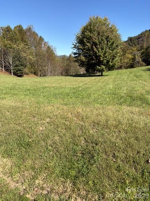 Photo of 447 Hog Rock Road, Hendersonville, NC 28792 (MLS # 4436318)